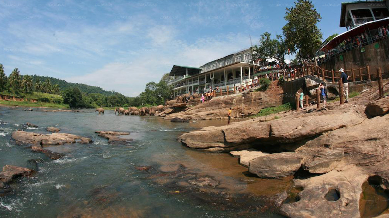 Ralidiya Hotel, Pinnawala