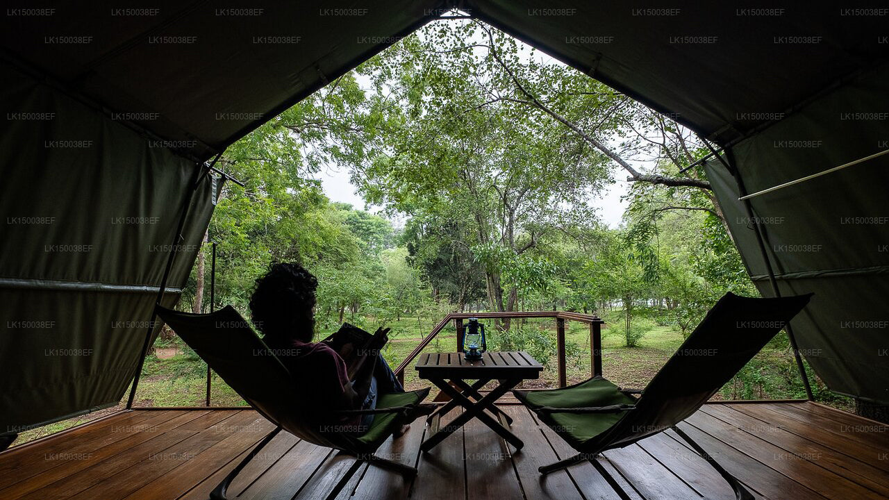 Kulu Safaris, Yala