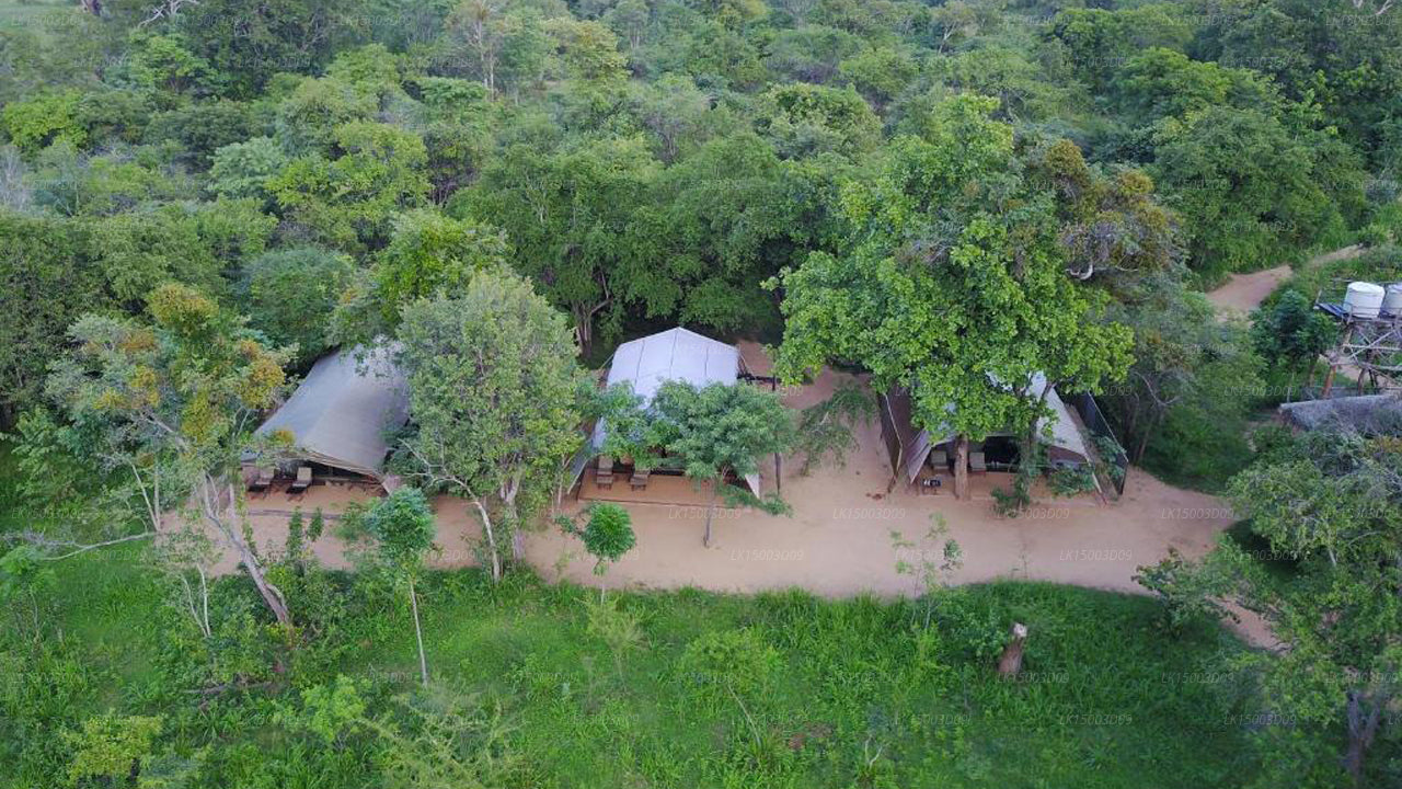 Tree Tops Jungle Lodge, Yala