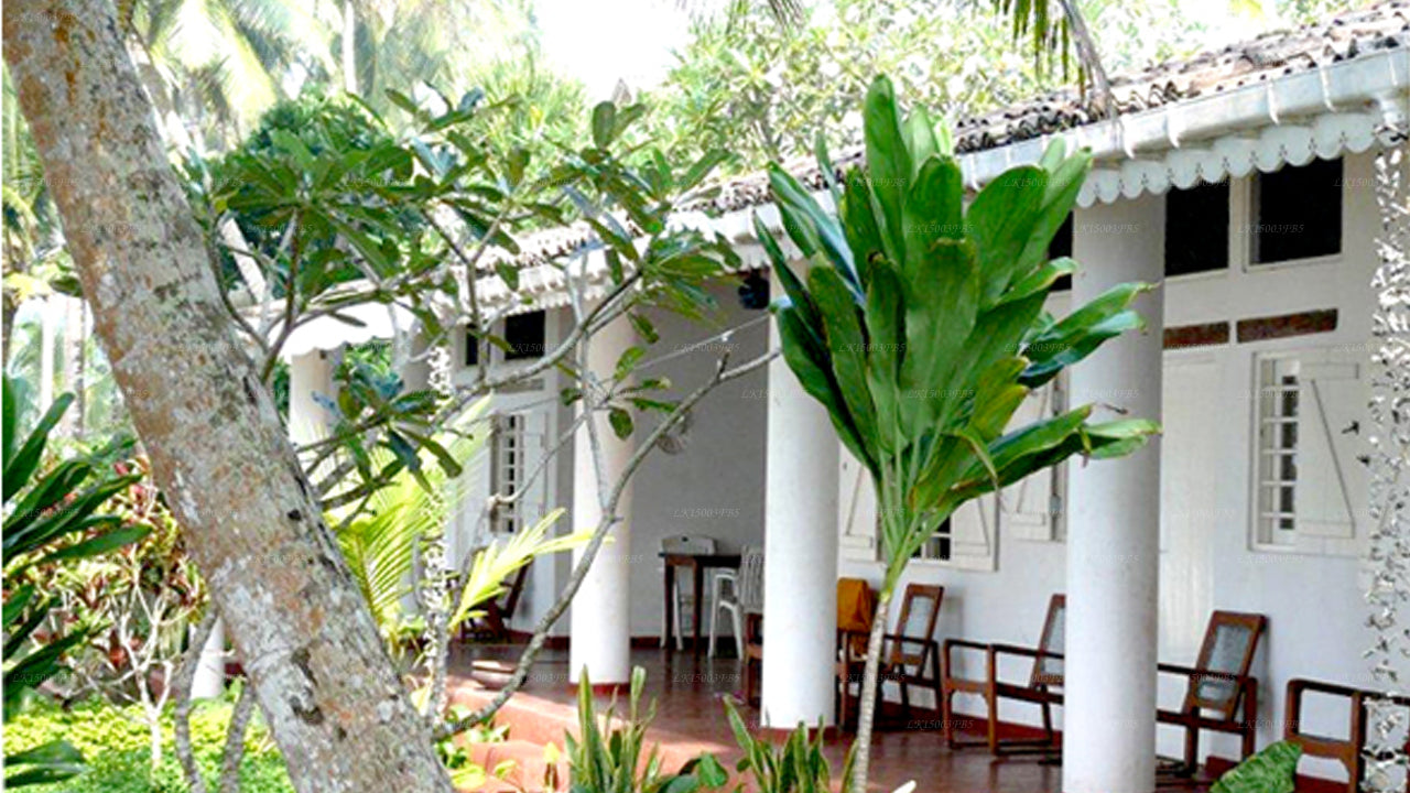 Palm Villa, Mirissa