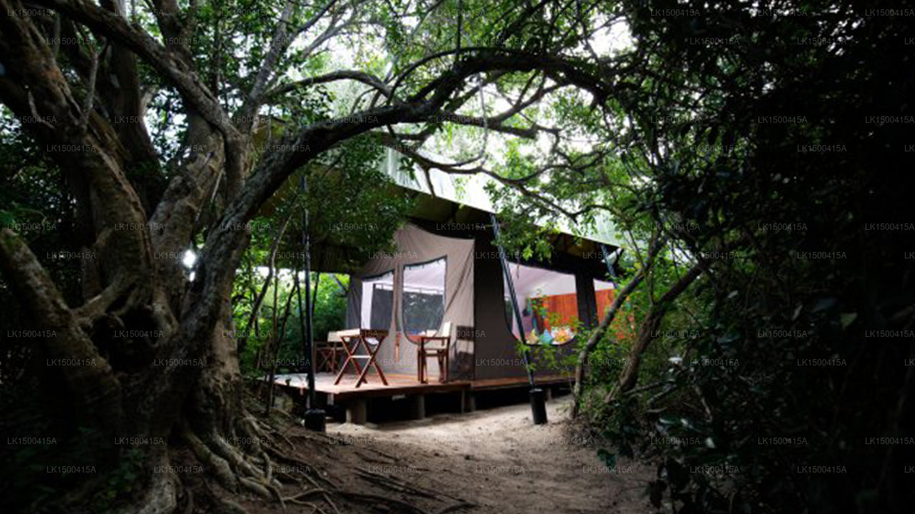 Wild Trails Yala Eco Camp by Yoho, Yala