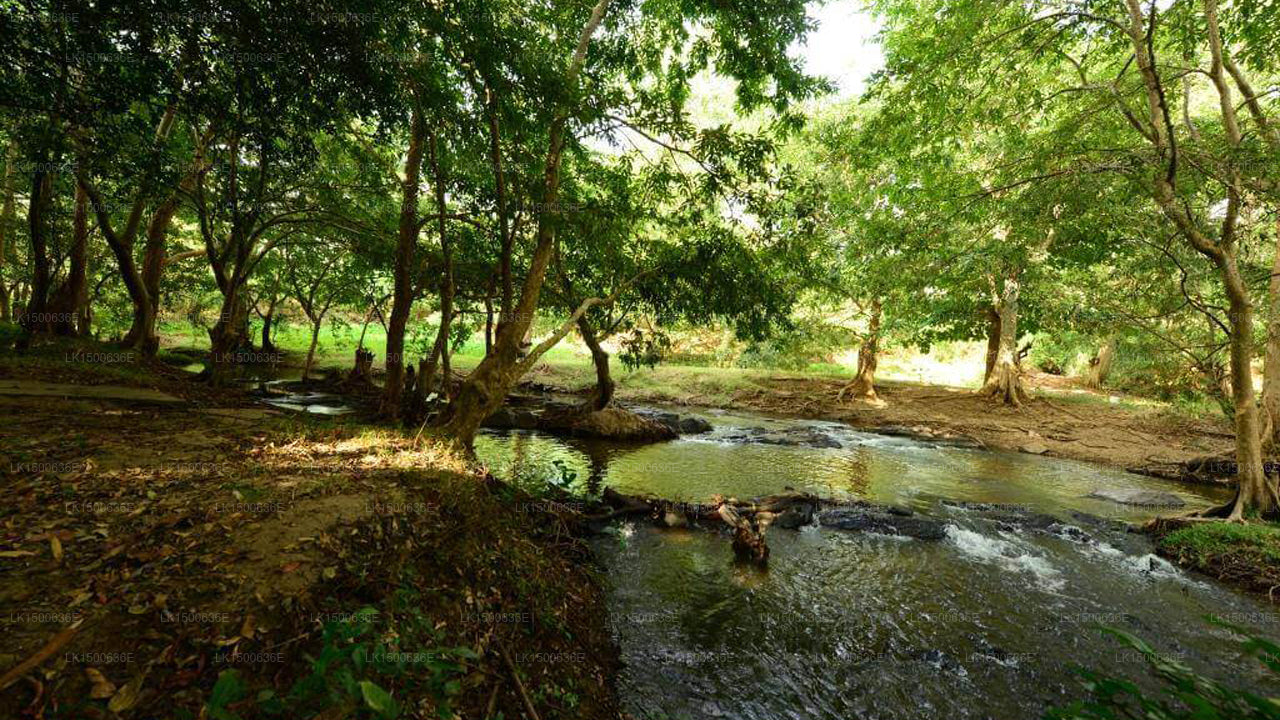 Nil Diya Mankada, Udawalawe