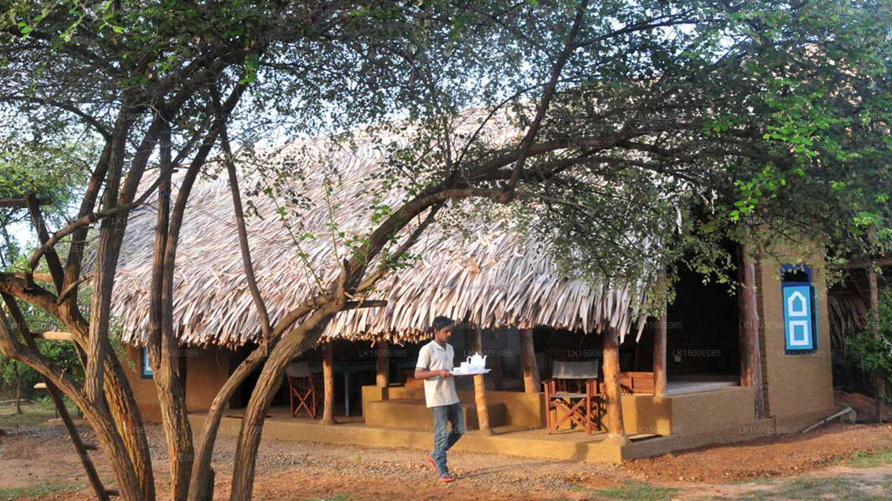 Back of Beyond - Safari Lodge, Yala