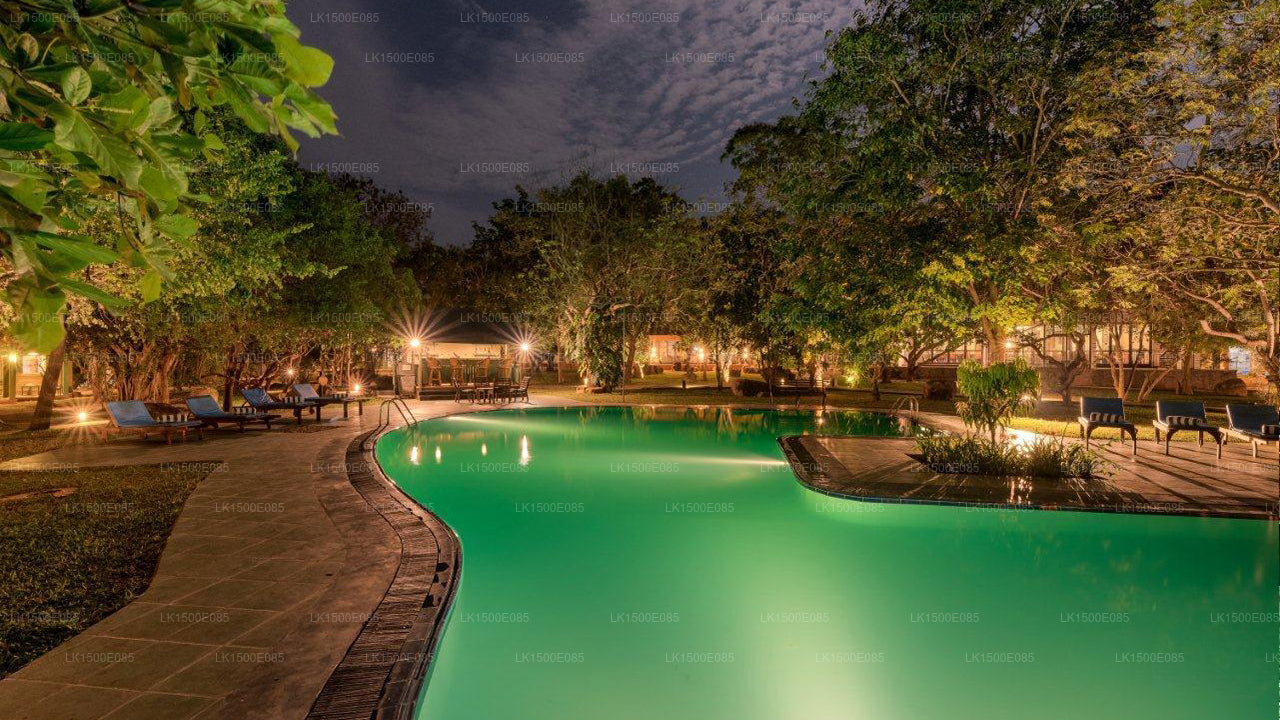 Back of Beyond - Safari Lodge, Yala