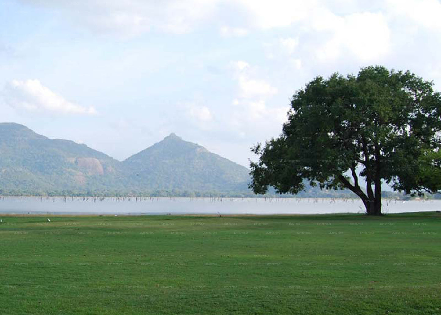 Dambulla Heritage Rest House, Dambulla