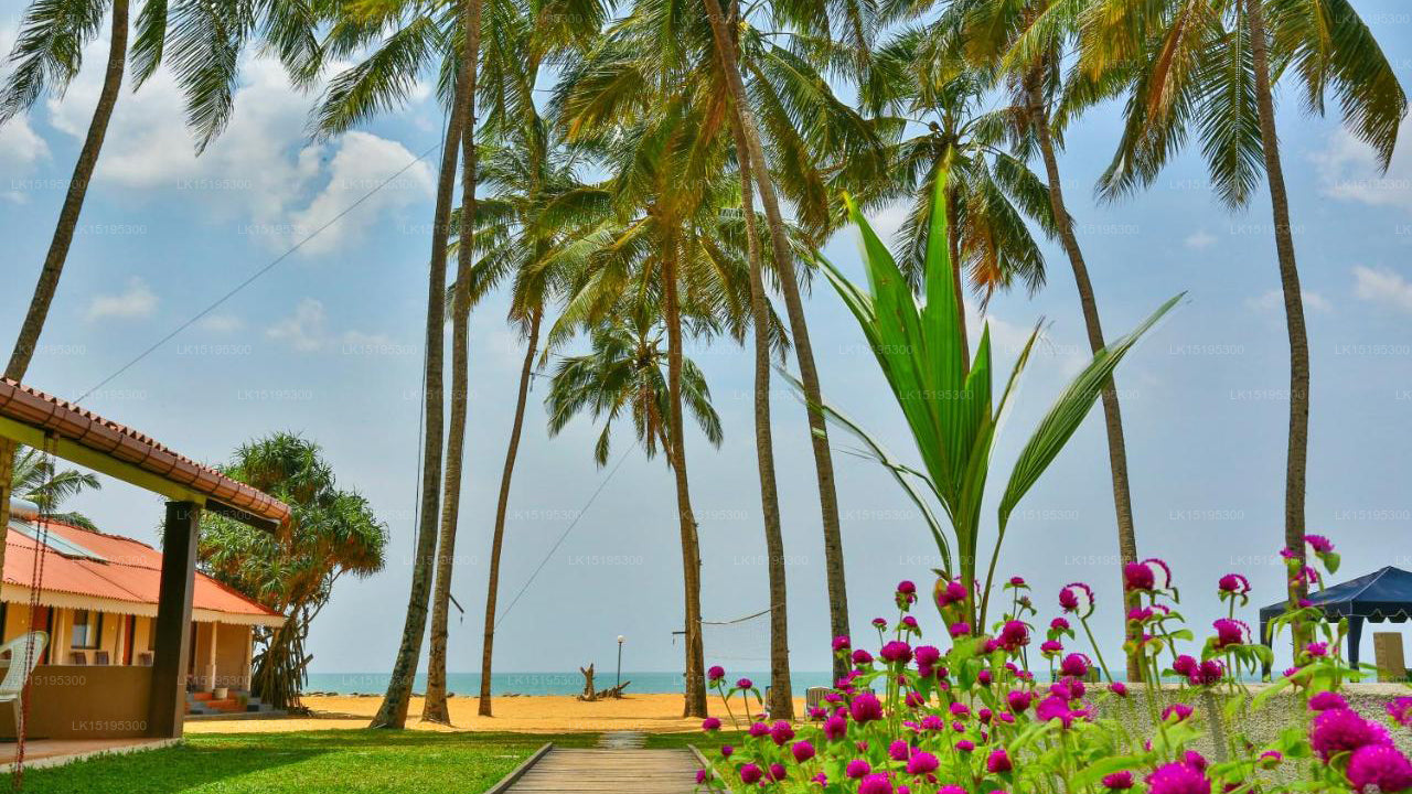 Amagi Beach Hotel, Marawila