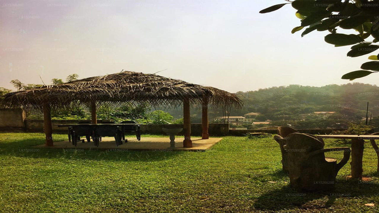 Green Grass Hostel, Kandy