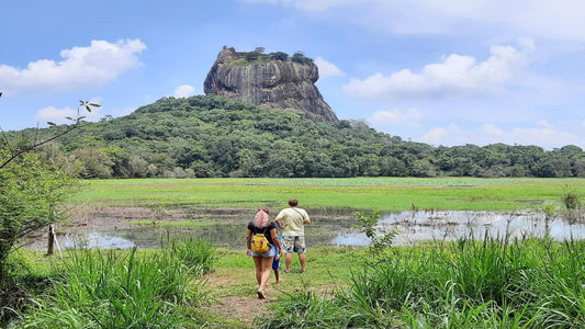 Sigiriya cottage, Sigiriya