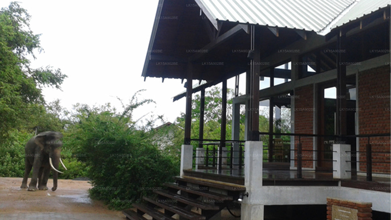 Lagoon Cabanas Panama, Arugam Bay