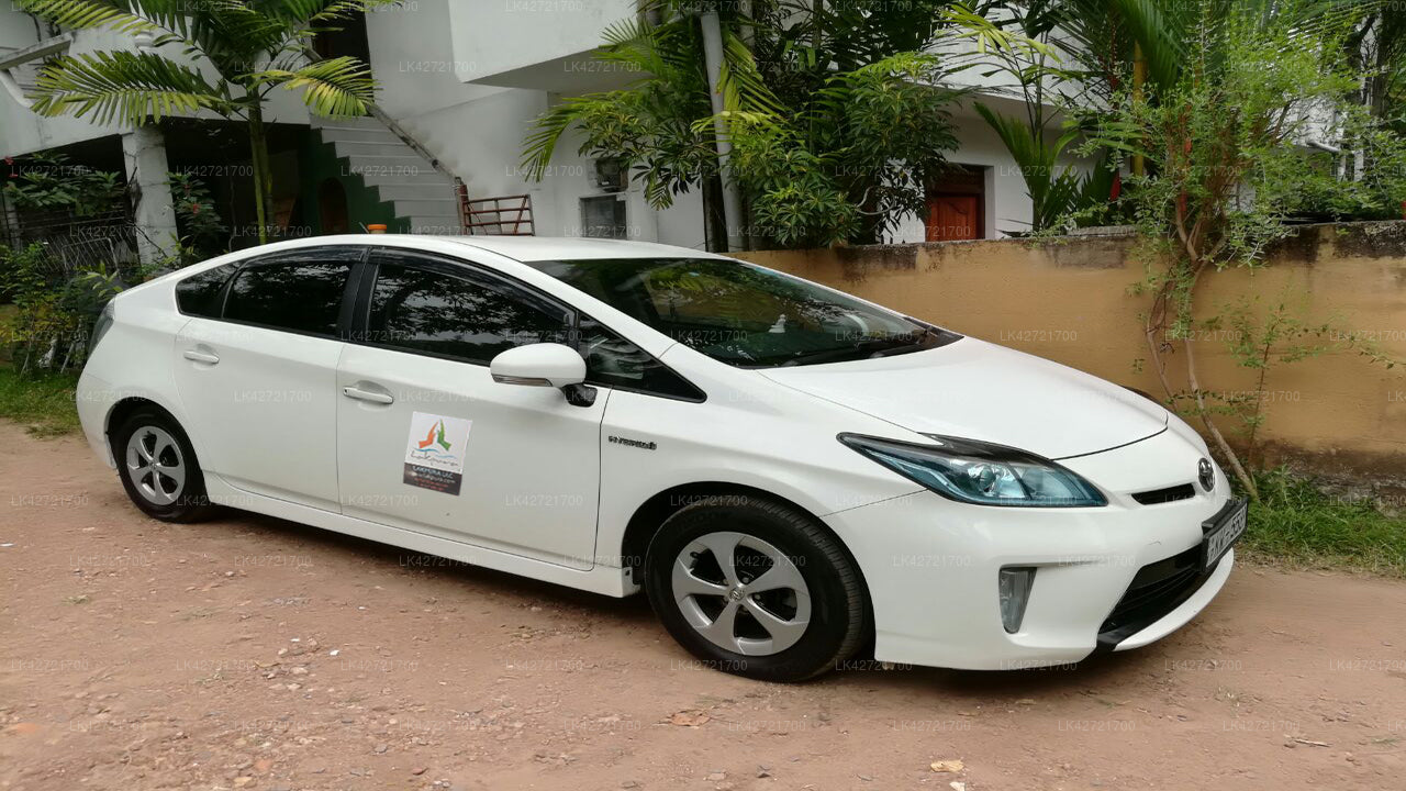 Sigiriya City to Tangalle City Private Transfer