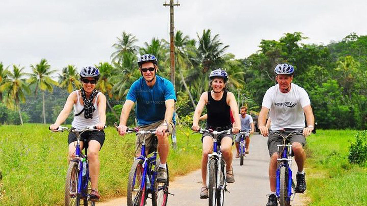 Galle Fort and City Tour From Galle