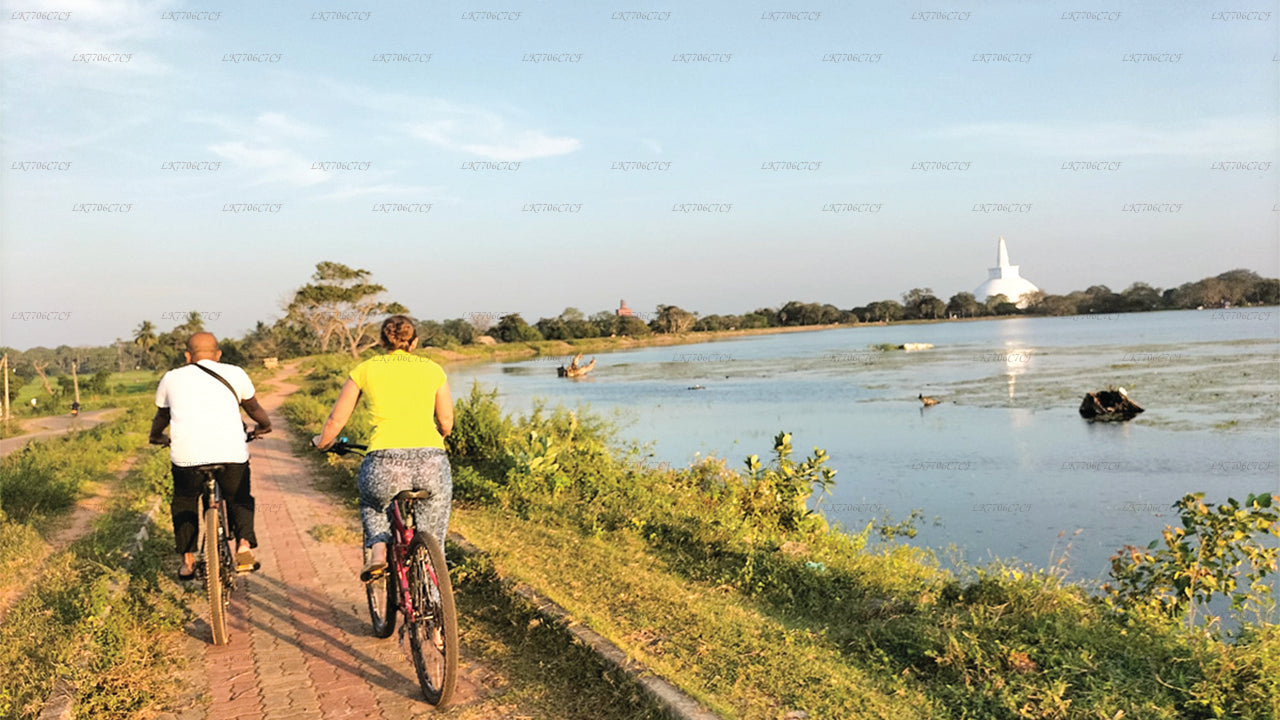 Cycling from Anuradhapura