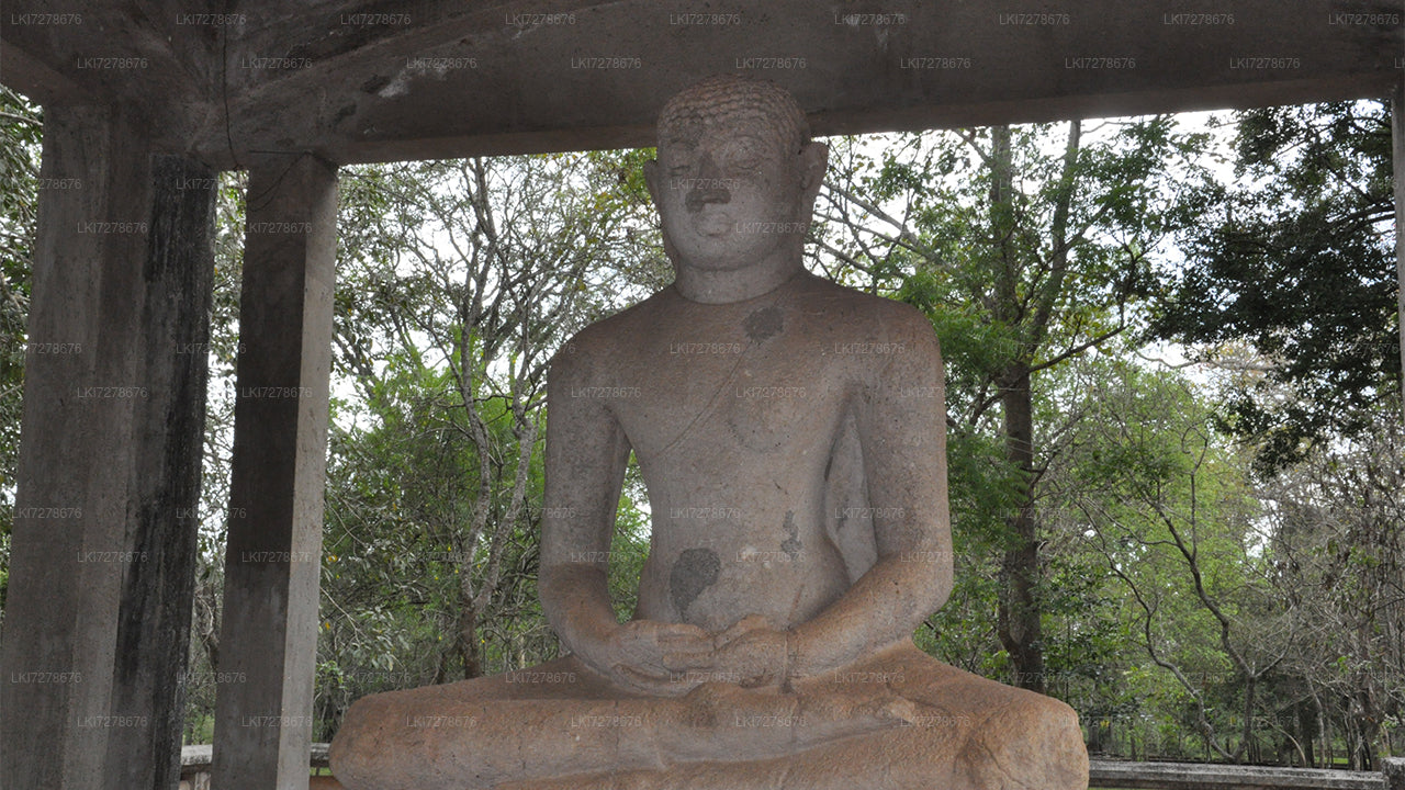 Anuradhapura and Mihintale from Dambulla