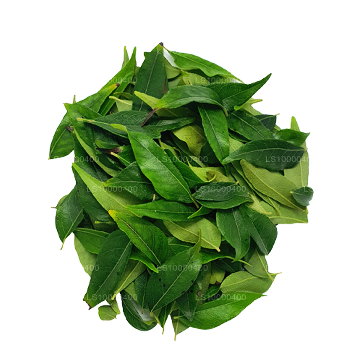 Lakpura Fresh Curry Leaves