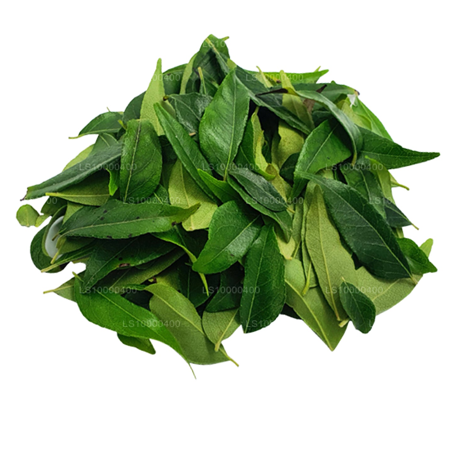 Lakpura Fresh Curry Leaves