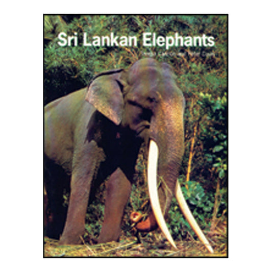 Sri Lankan Elephants