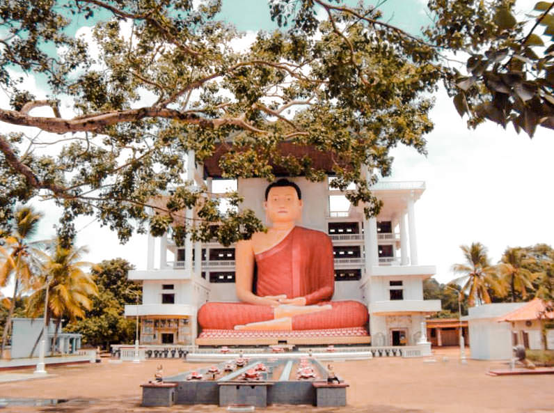 Temples and Wilderness from Colombo (2 Days)