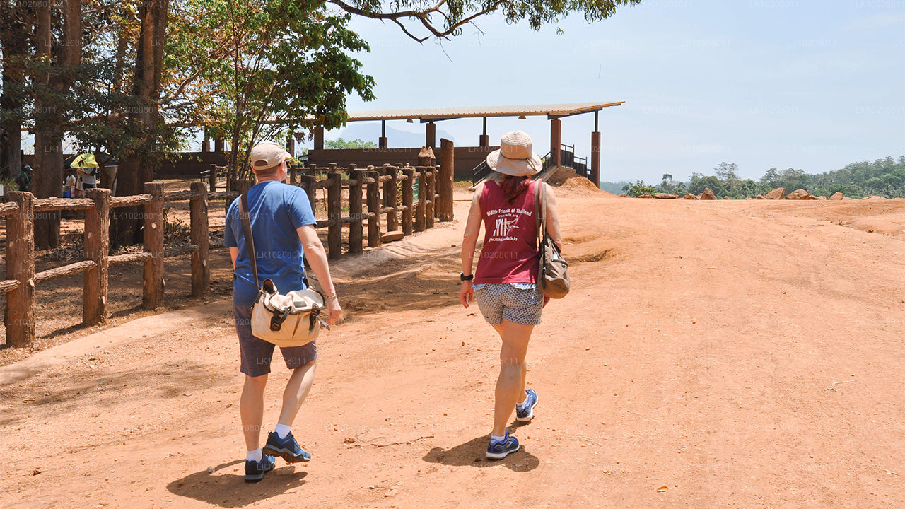 Culture of the Hills from Colombo (2 Days)