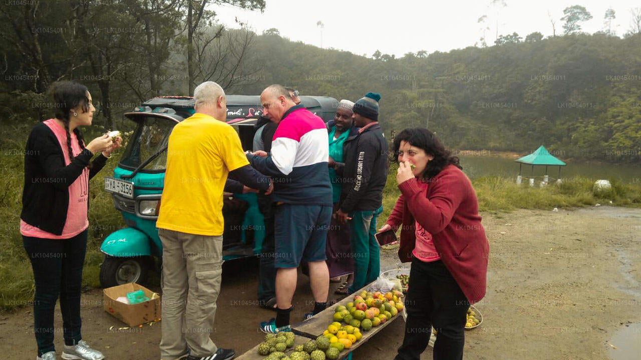 Horton Plains Adventure (4 Days)