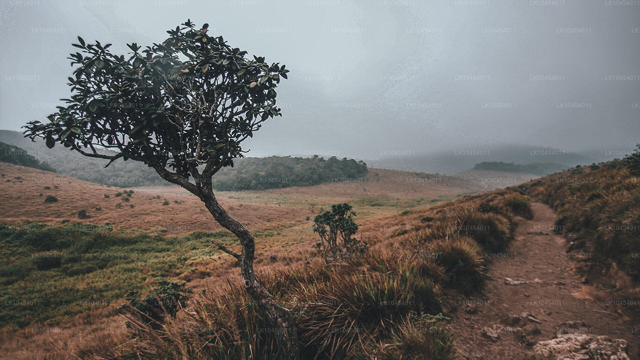 Horton Plains Adventure (4 Days)