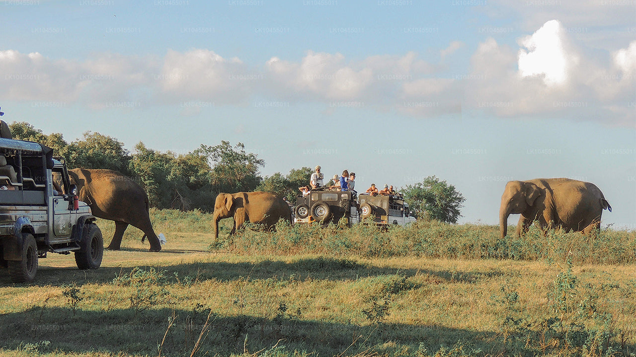 Sri Lanka Aborigine Tour (4 Days)