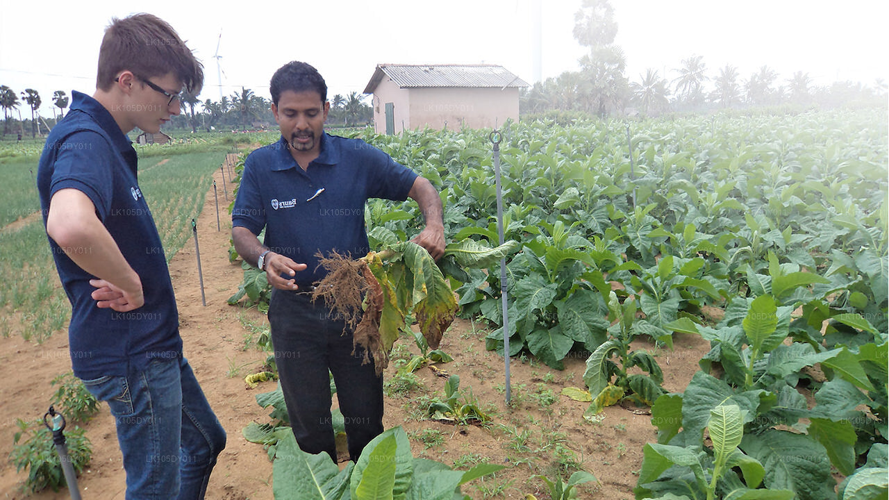 Agro Tour of Sri Lanka (5 Days)