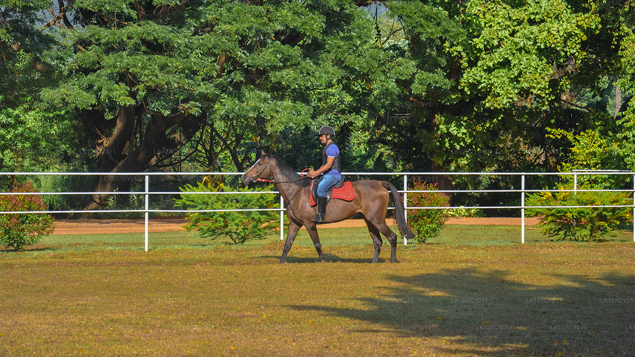 Horse riding tour (7 Days)