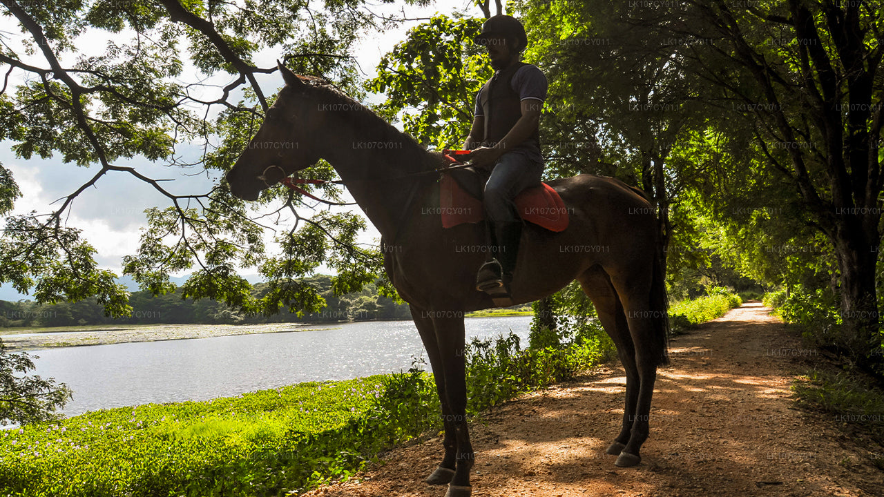 Horse riding tour (7 Days)