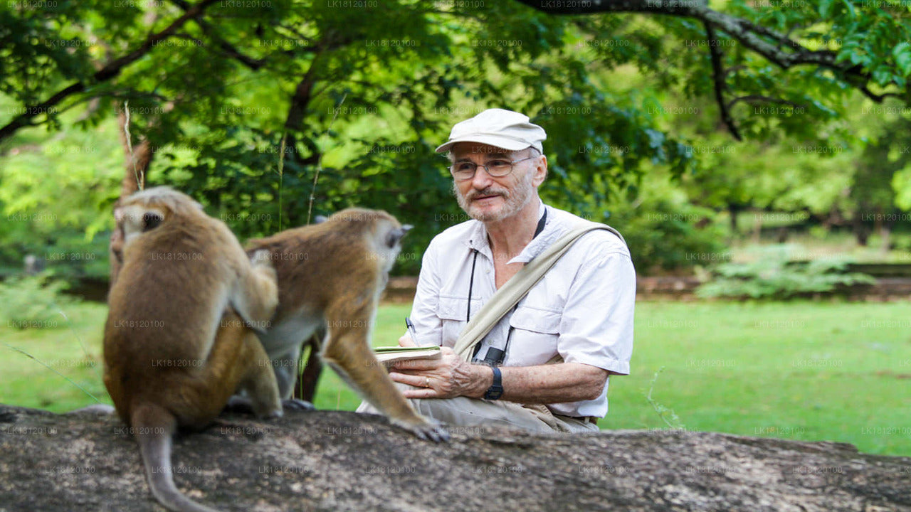 Explore the Monkey Kingdom from Polonnaruwa