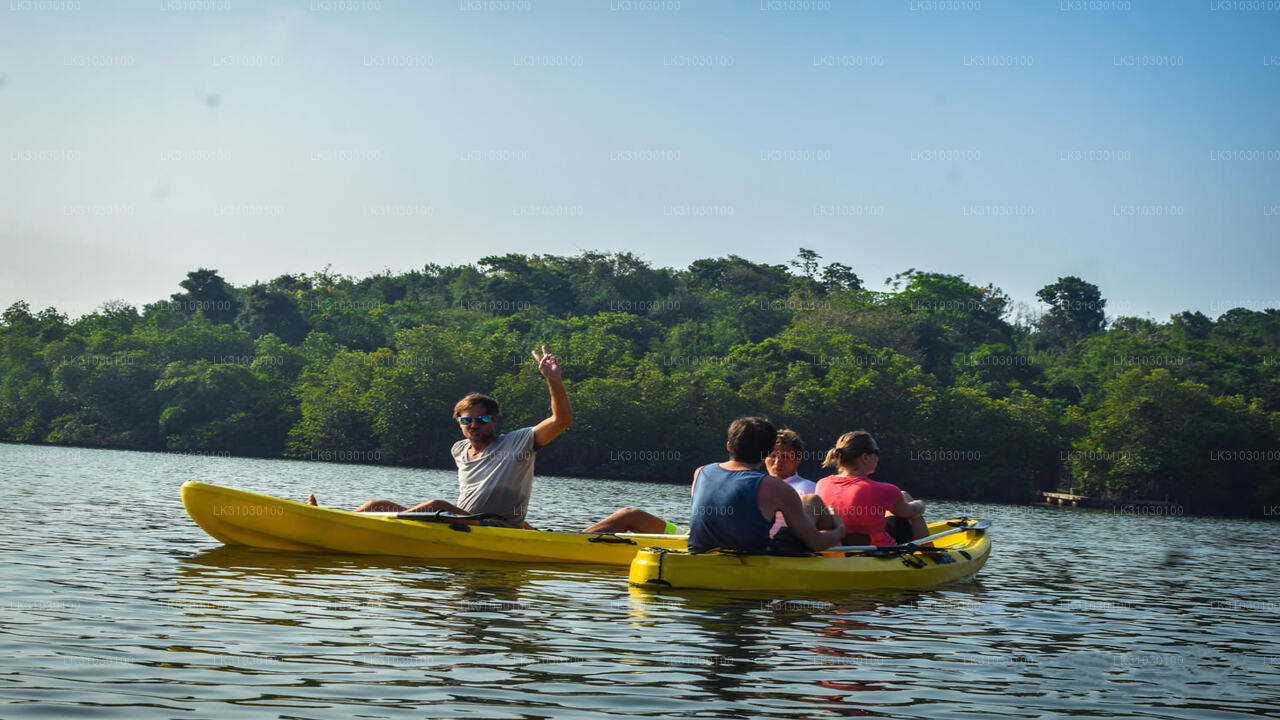 Kayaking from Bentota