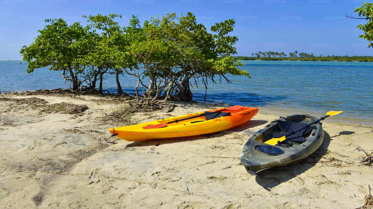 Kayaking from Kalpitiya Lagoon