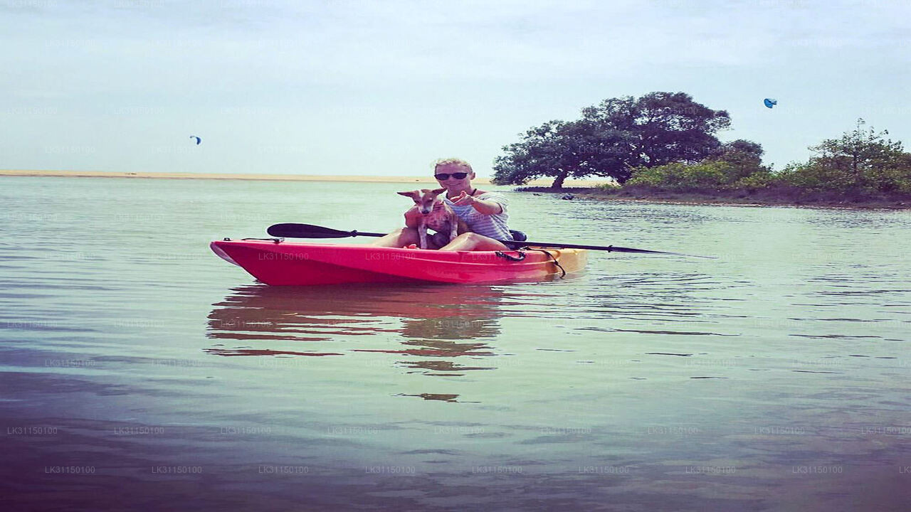 Kayaking from Kalpitiya Lagoon