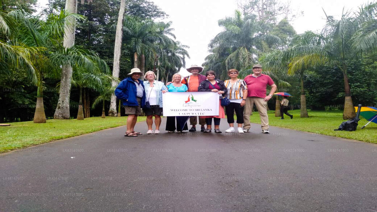 Transfer between Colombo Airport (CMB) and Selara River Hide Out, Udawalawe