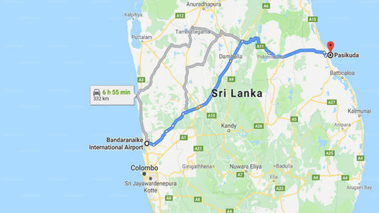 Transfer between Colombo Airport (CMB) and The Calm Resort and Spa, pasikuda