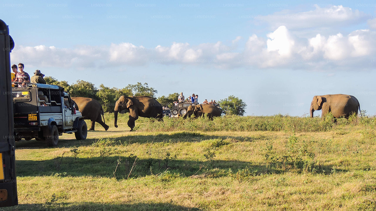 Kaudulla National Park Private Safari