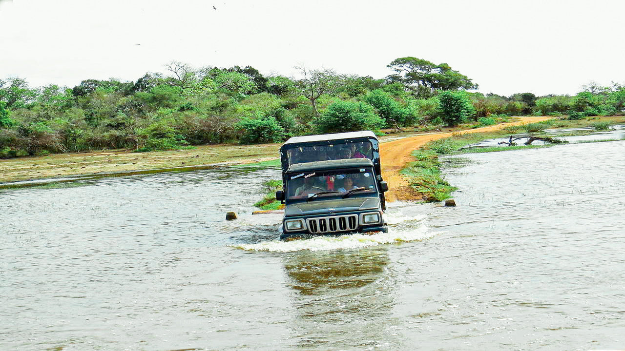 Kumana National Park Safari from Panama