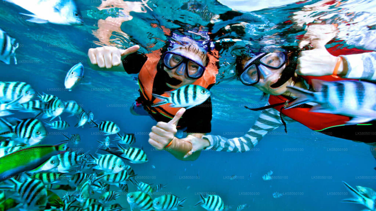 Snorkeling from Negombo