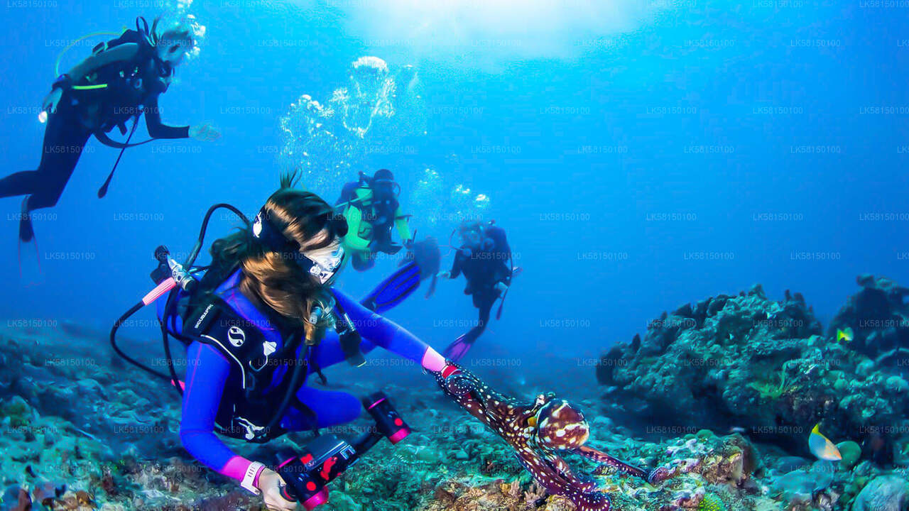 Snorkeling in Talawila St. Anne's Reef