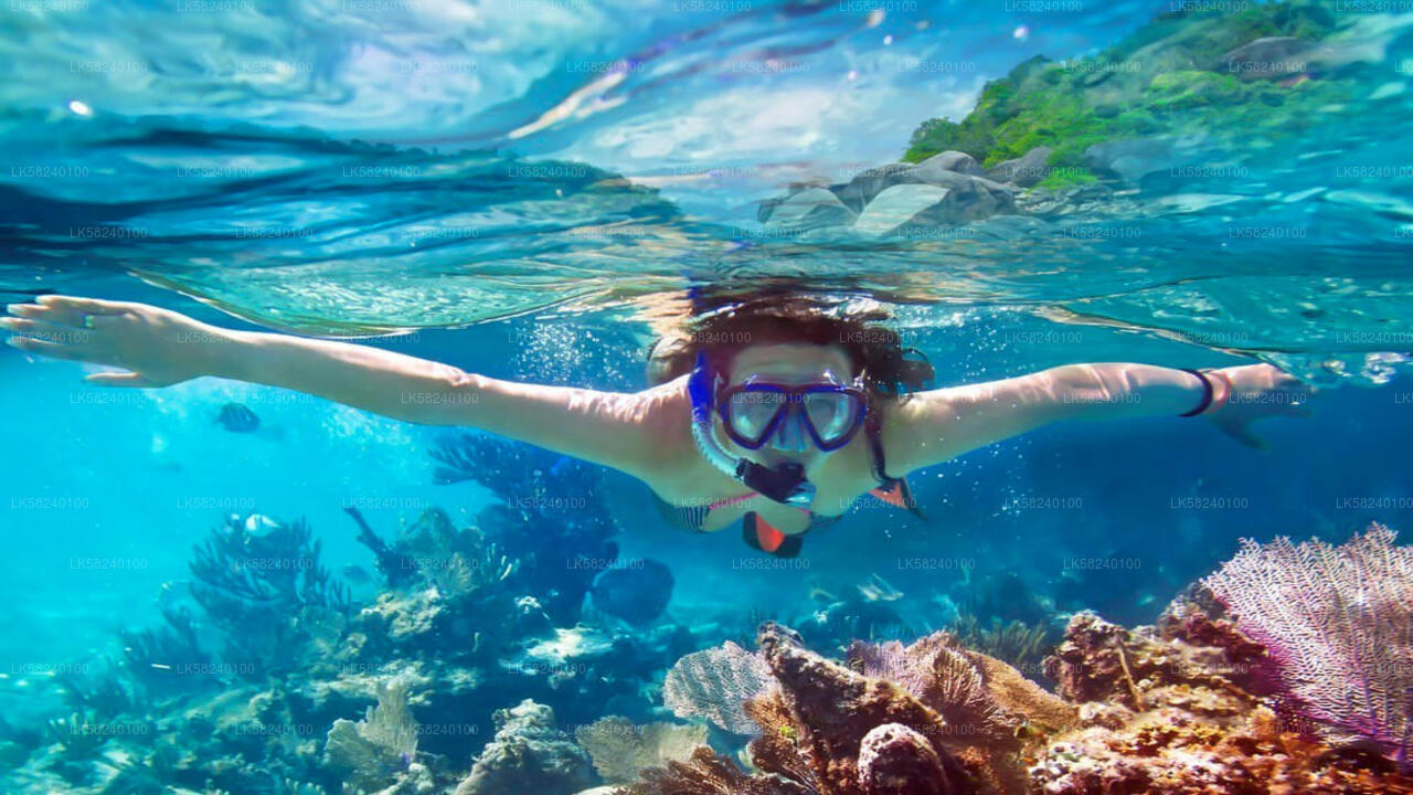 Snorkeling at Pigeon Island from Nilaveli