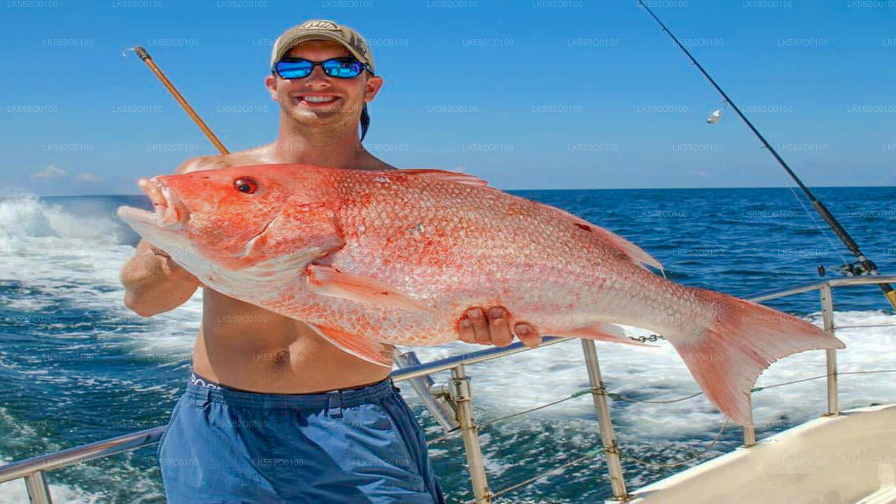 Deep Sea Fishing Boat Tour from Mirissa