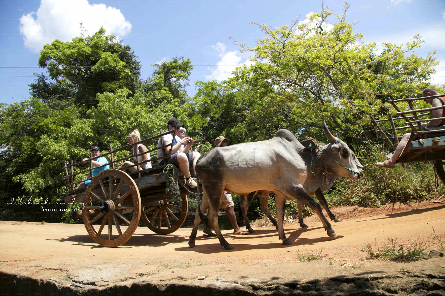 Sigiriya Rock and Village Tour from Colombo