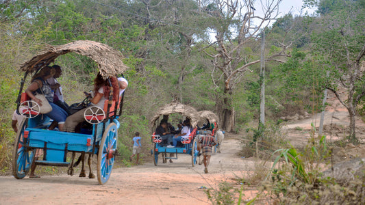 Village Life Tour from Kandy