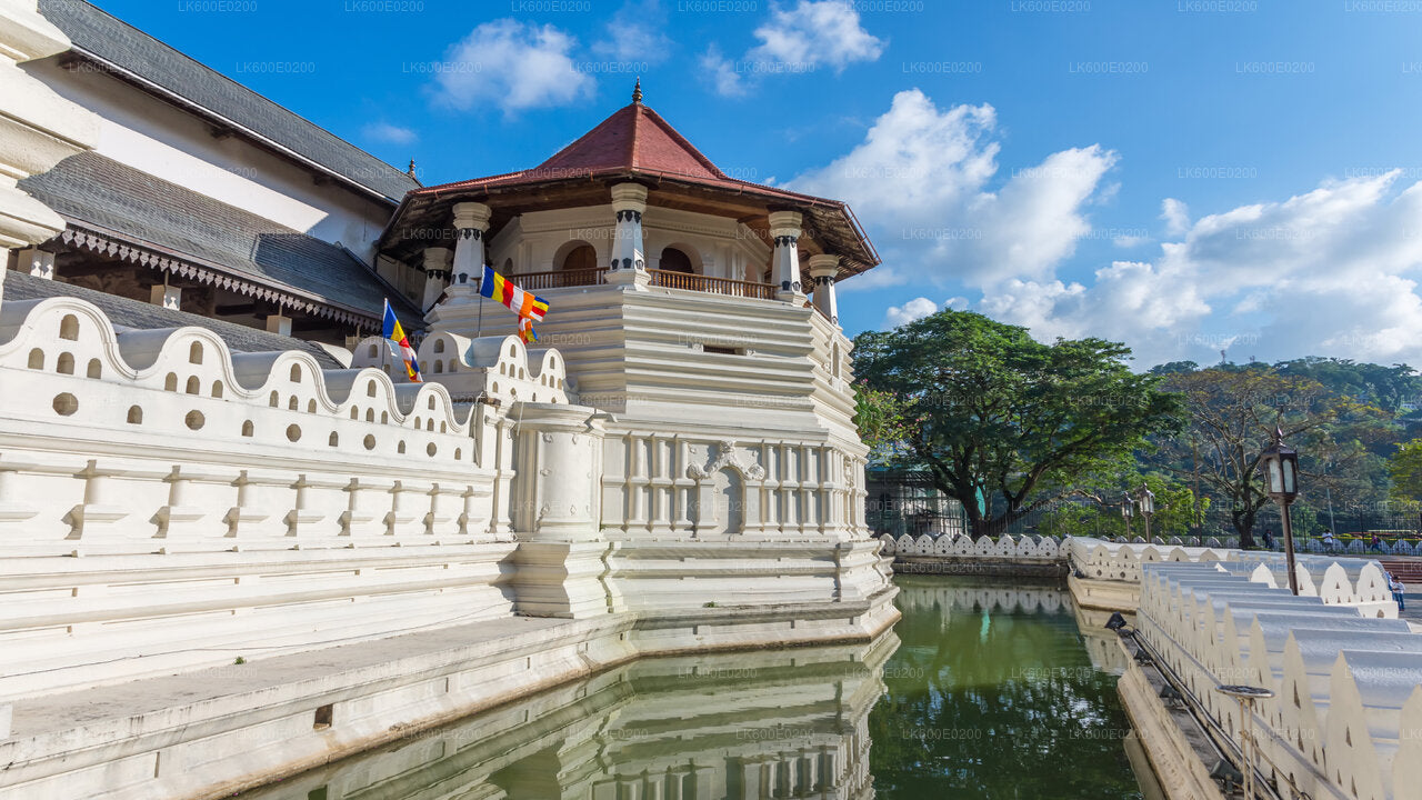 Kandy City Tour from Beruwala