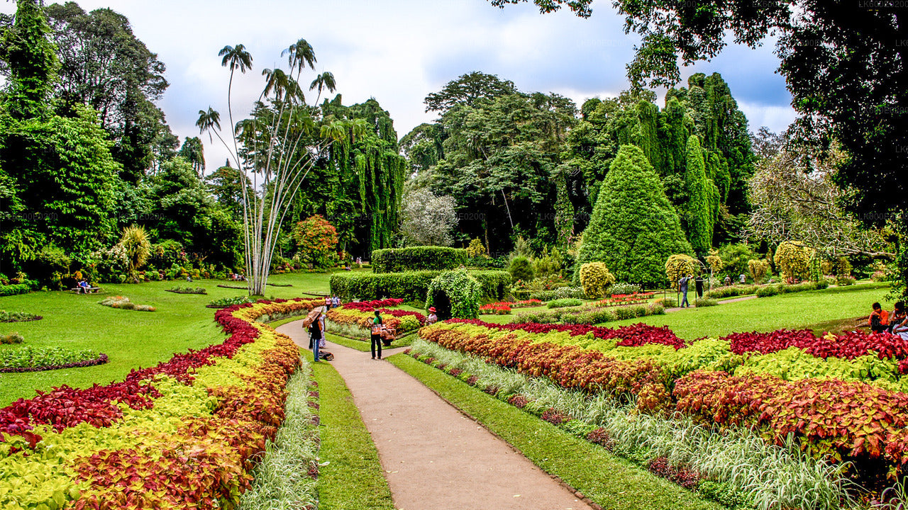 Kandy City Tour from Beruwala