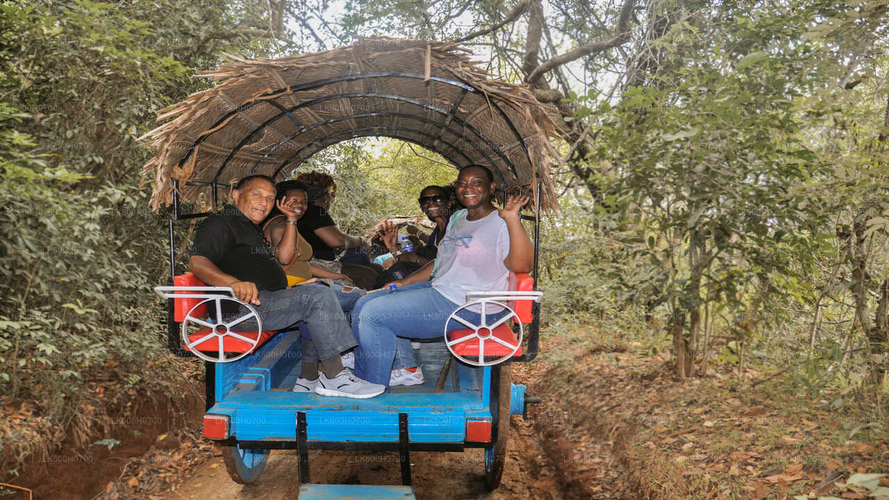 Sigiriya Rock and Village Tour from Colombo