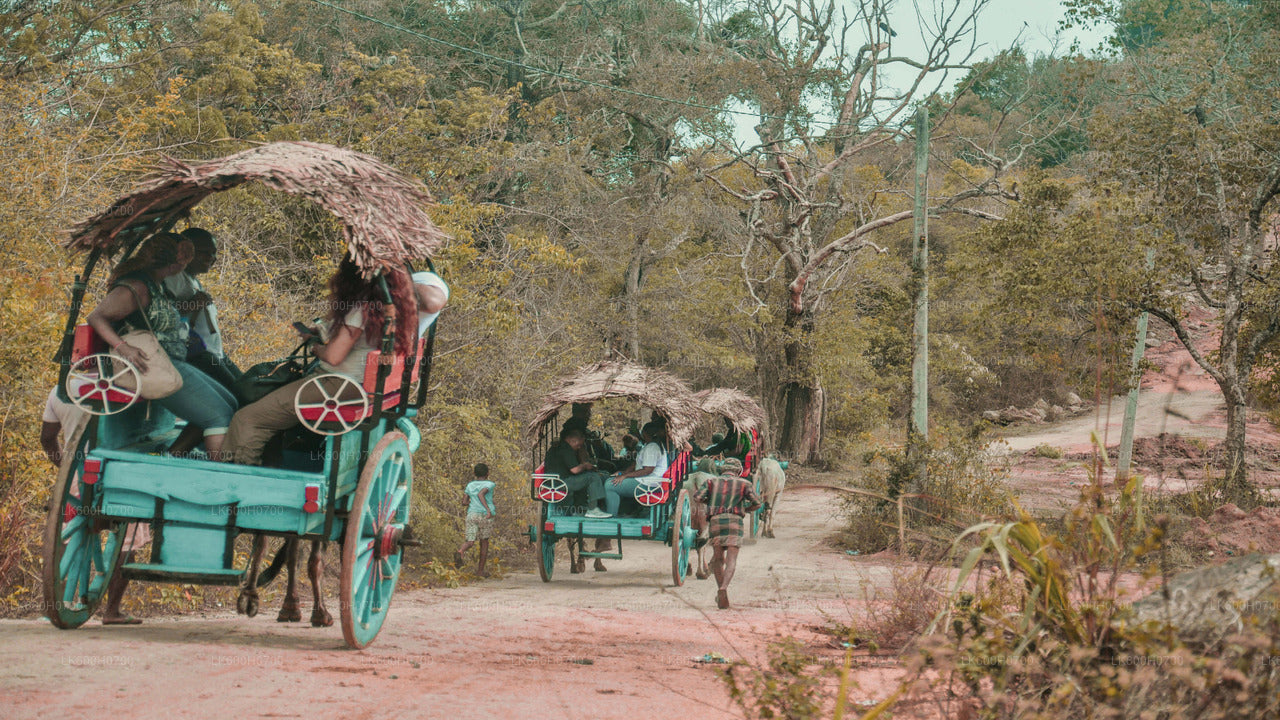 Sigiriya Rock and Village Tour from Colombo