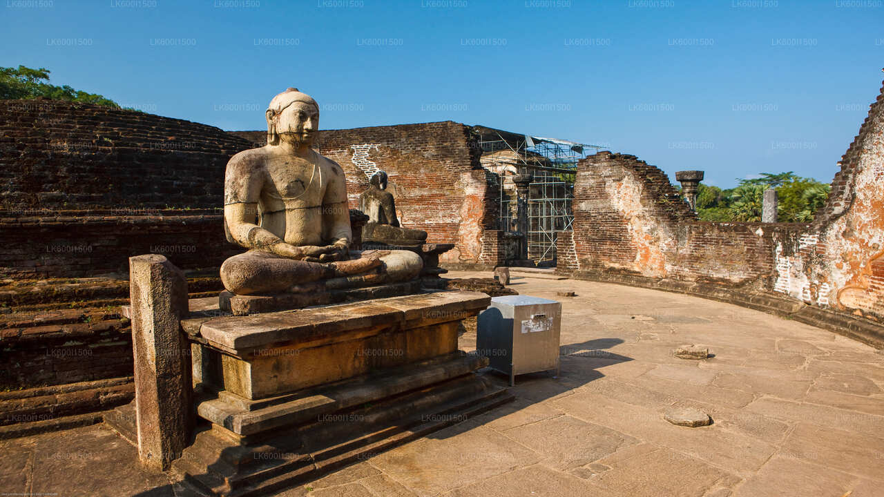 Polonnaruwa Ancient Kingdom and Wild Elephant Safari from Dambulla