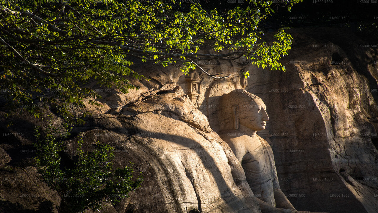 Polonnaruwa Ancient Kingdom and Wild Elephant Safari from Dambulla