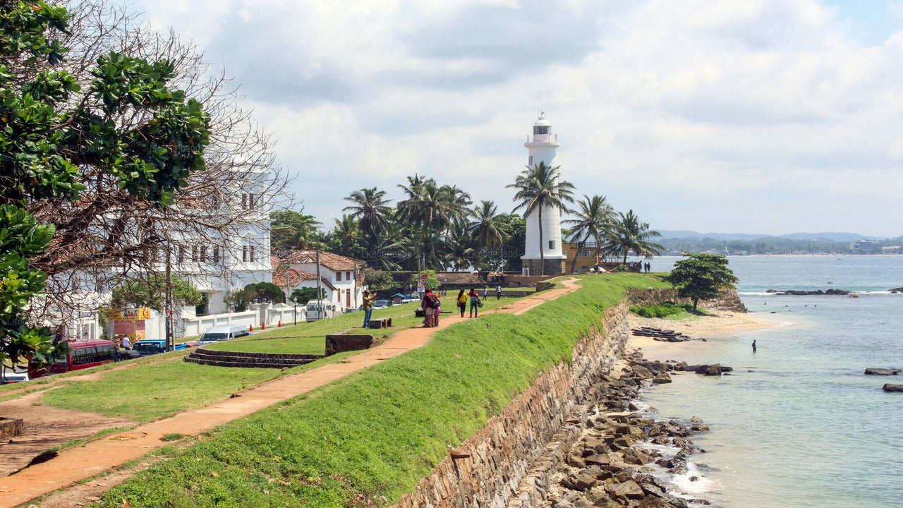 Southern Coast Highlights from Galle