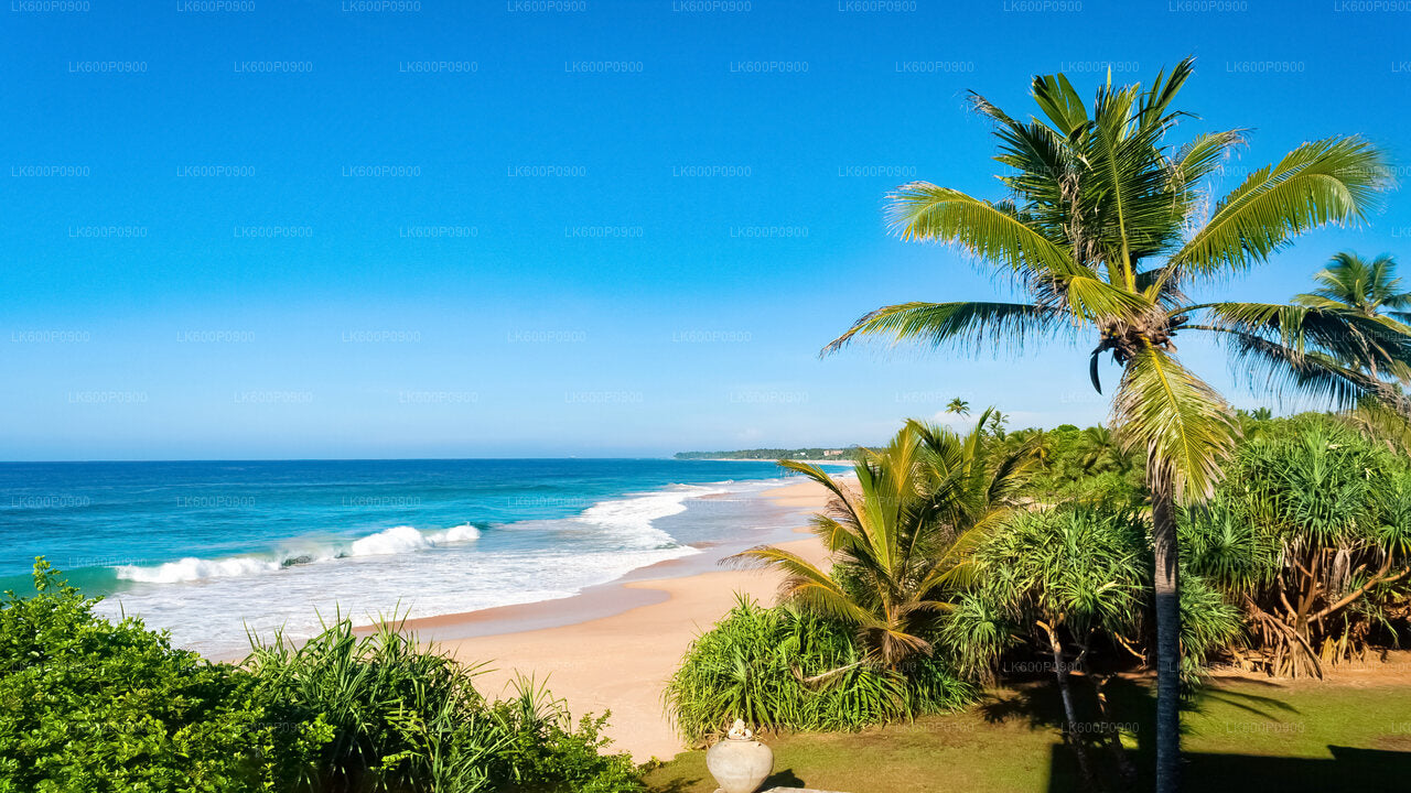 Hidden Temples and Secluded Coastlines Tour from Galle